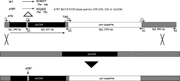 FIG. 5.