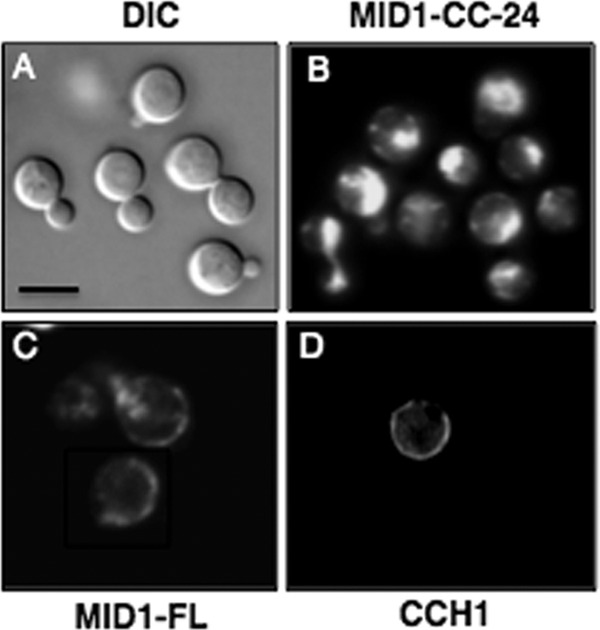 Fig 2