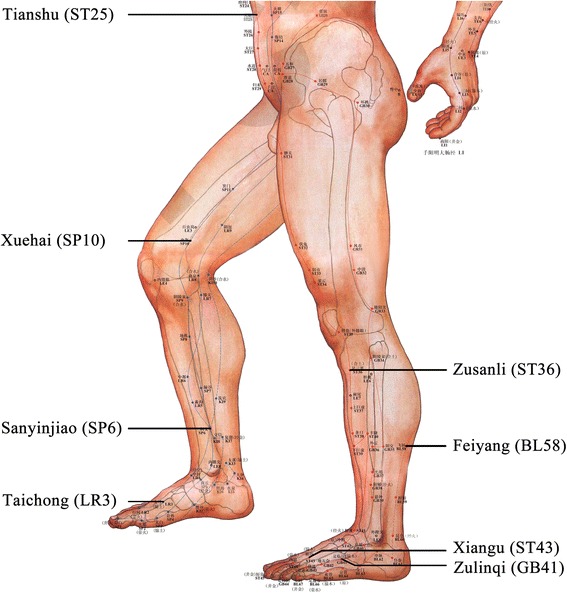 Fig. 2