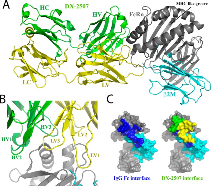 Figure 3.