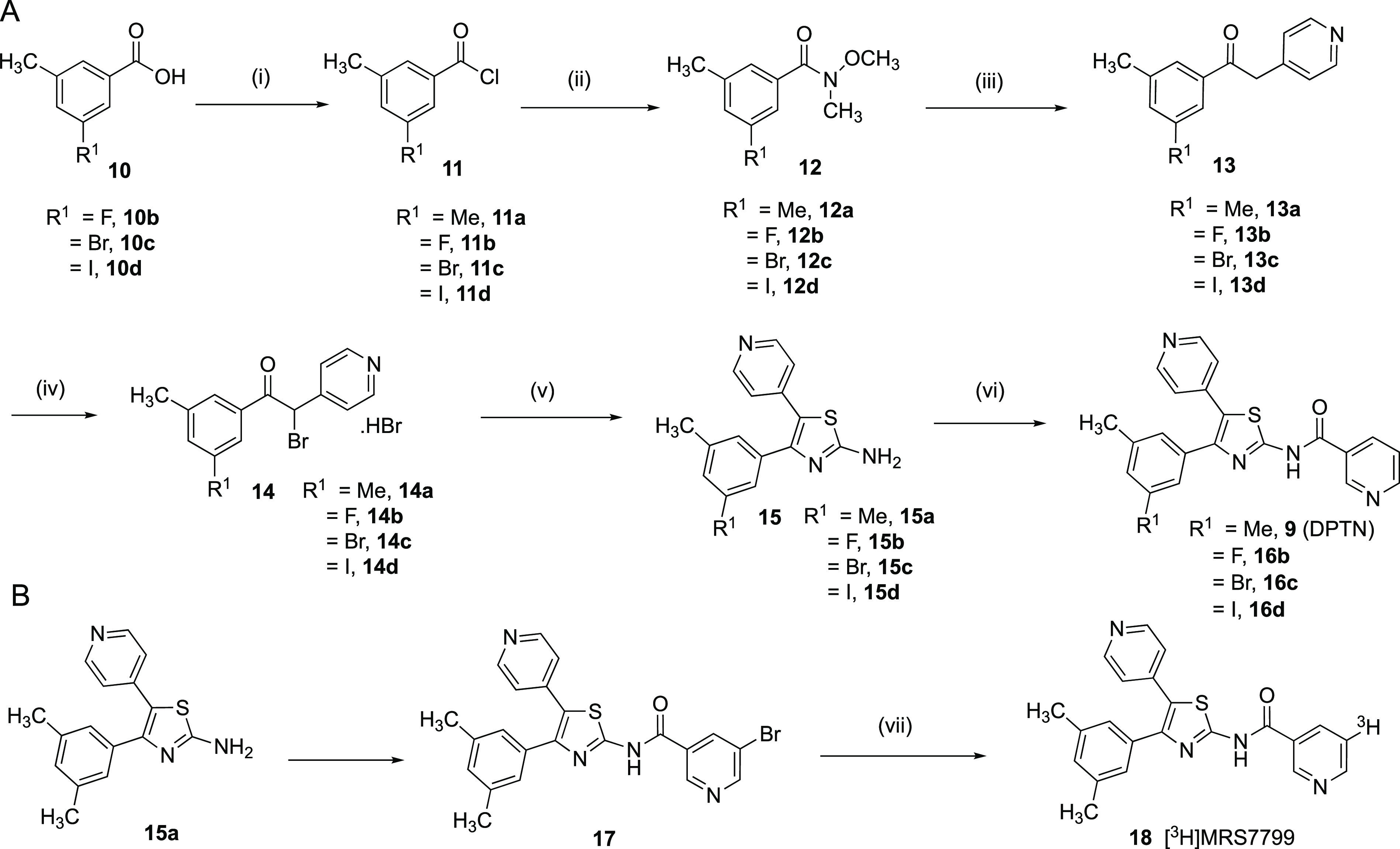 Scheme 1