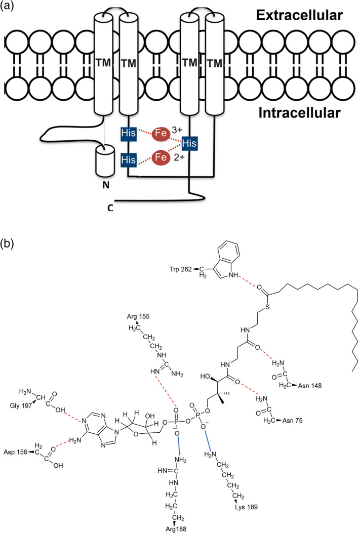 FIGURE 6