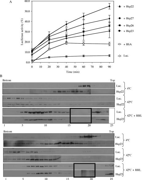 Fig 4.