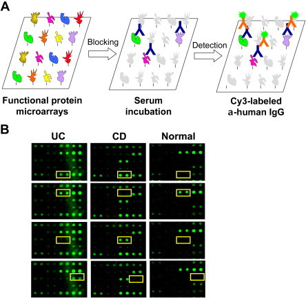 Figure 4.7