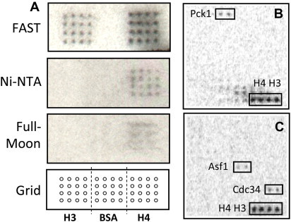 Figure 4.4