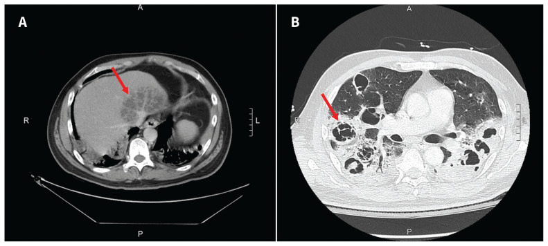 Figure 1: