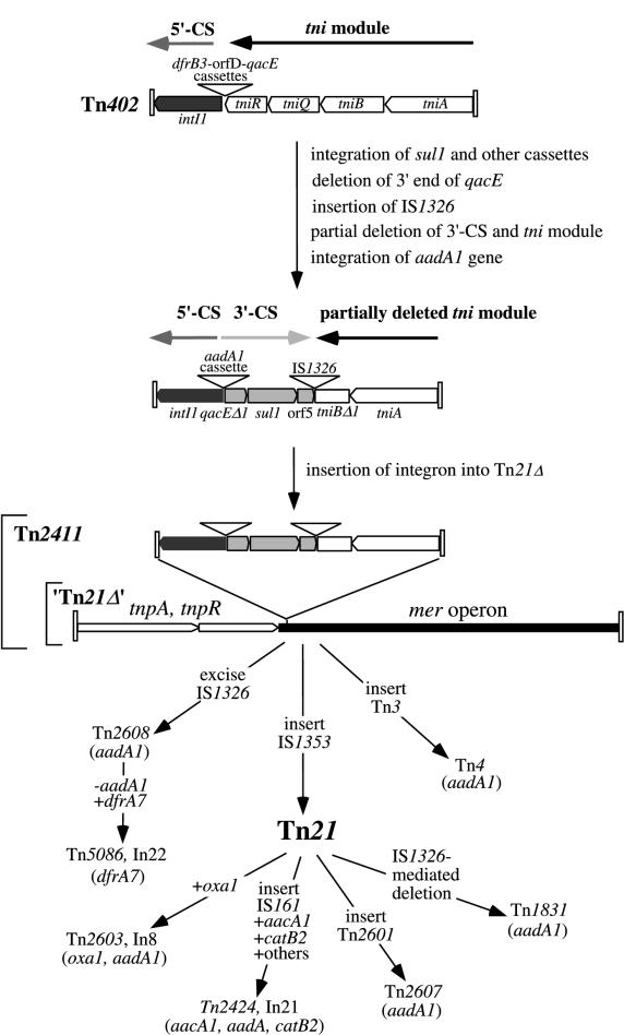 FIG. 6