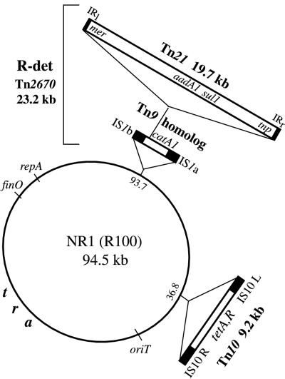 FIG. 1