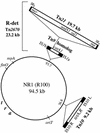 FIG. 1