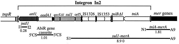 FIG. 7