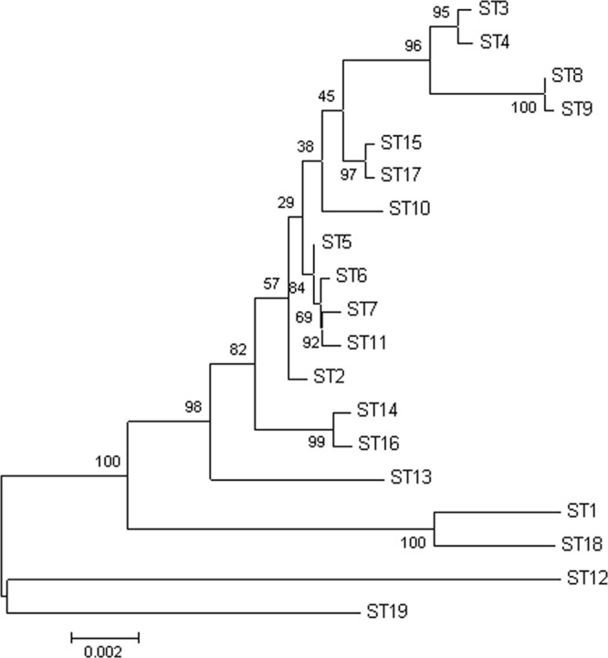 Fig 2