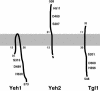 FIG. 9.