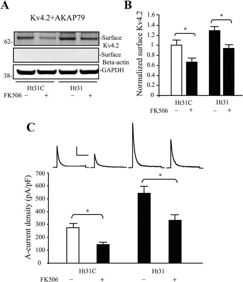 Figure 7.