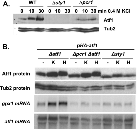 FIG. 5.