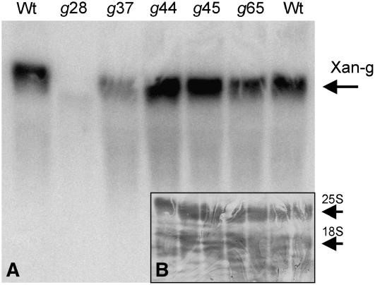 Figure 4.