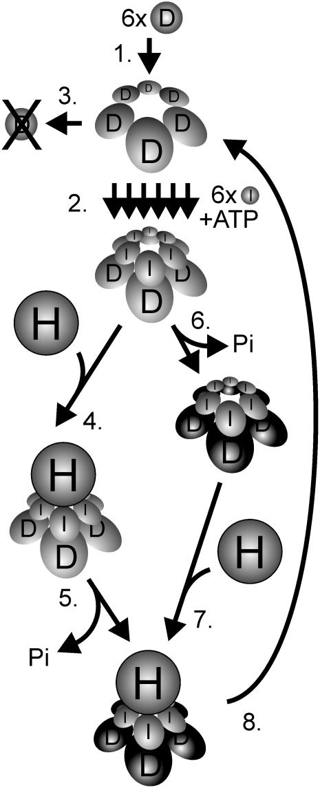 Figure 7.