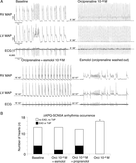 Figure 5