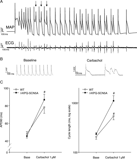 Figure 4