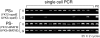 F<sc>igure</sc> 6.—