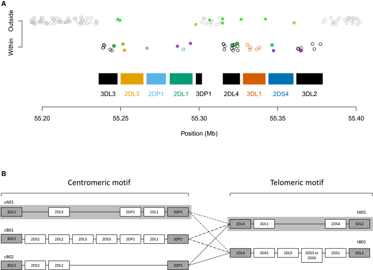 Figure 1