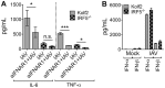 FIG 7