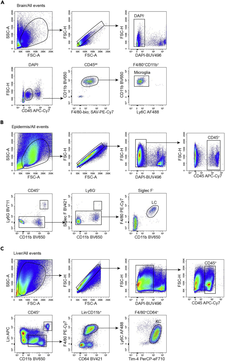 Figure 3