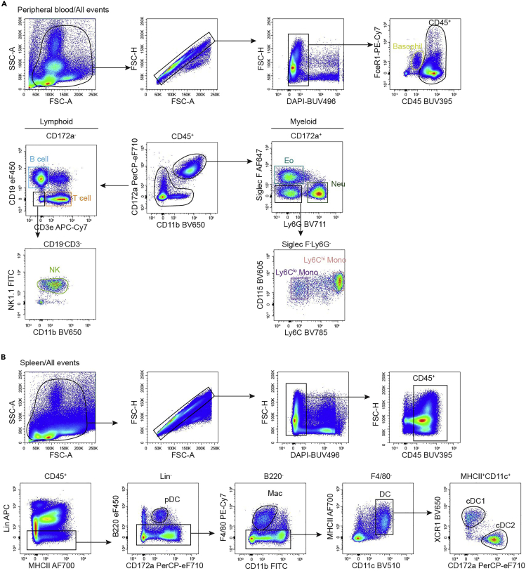 Figure 2