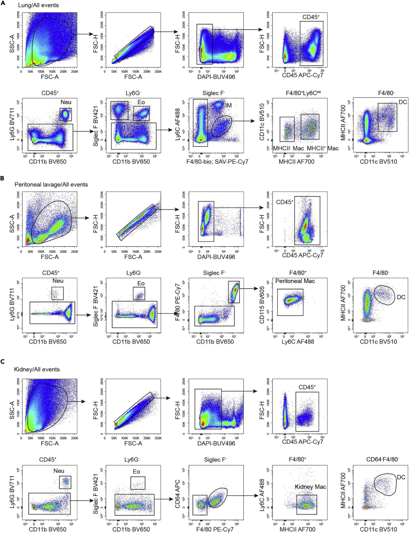 Figure 4