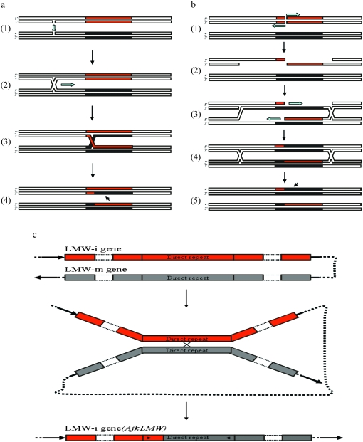 Figure 5.—