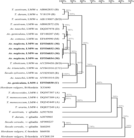 Figure 4.—