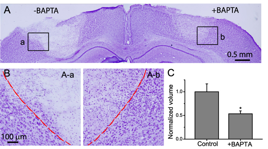 Fig. 6