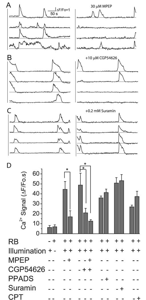 Fig. 5