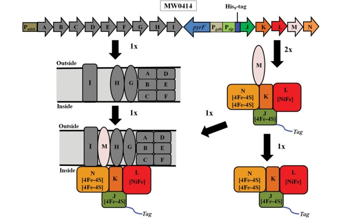 Fig. 3.