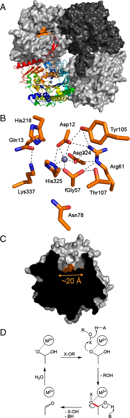 Fig. 3.