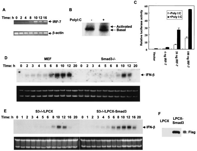 FIG. 6.