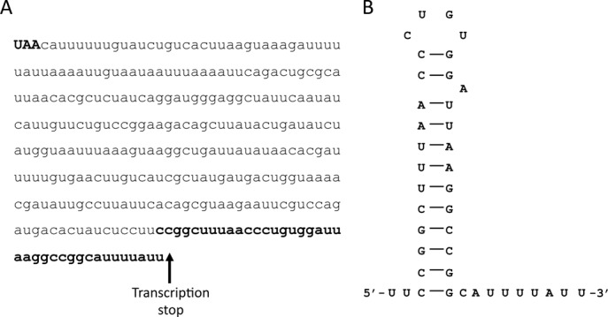 Figure 1.