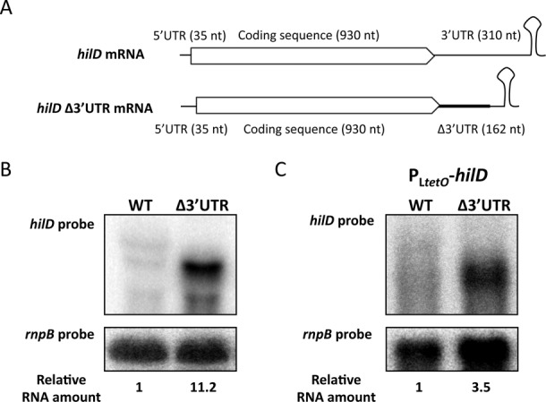 Figure 2.