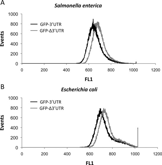 Figure 3.