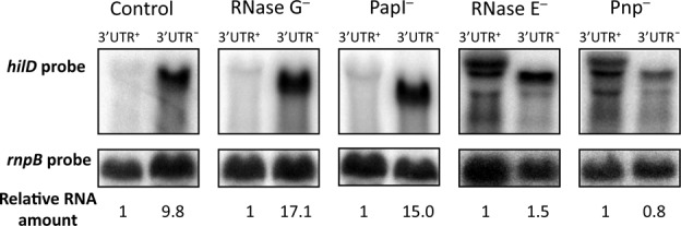 Figure 5.