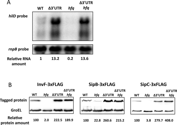 Figure 6.