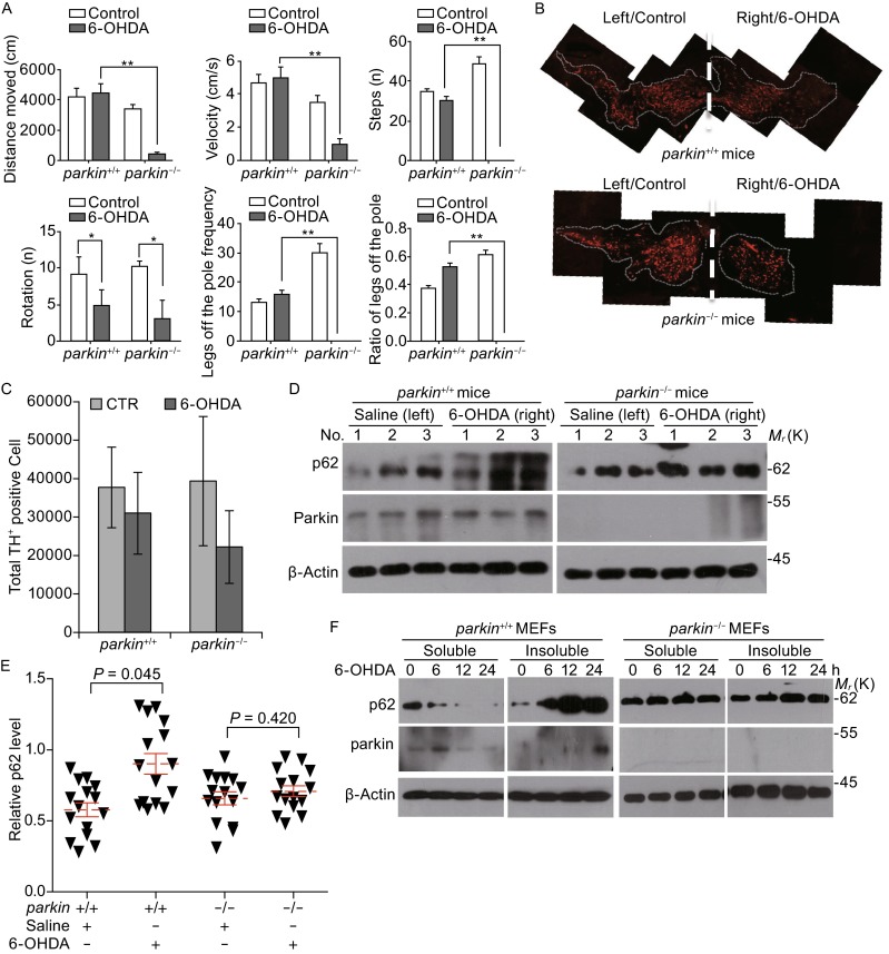 Figure 6