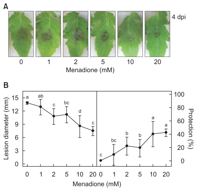 Fig. 6