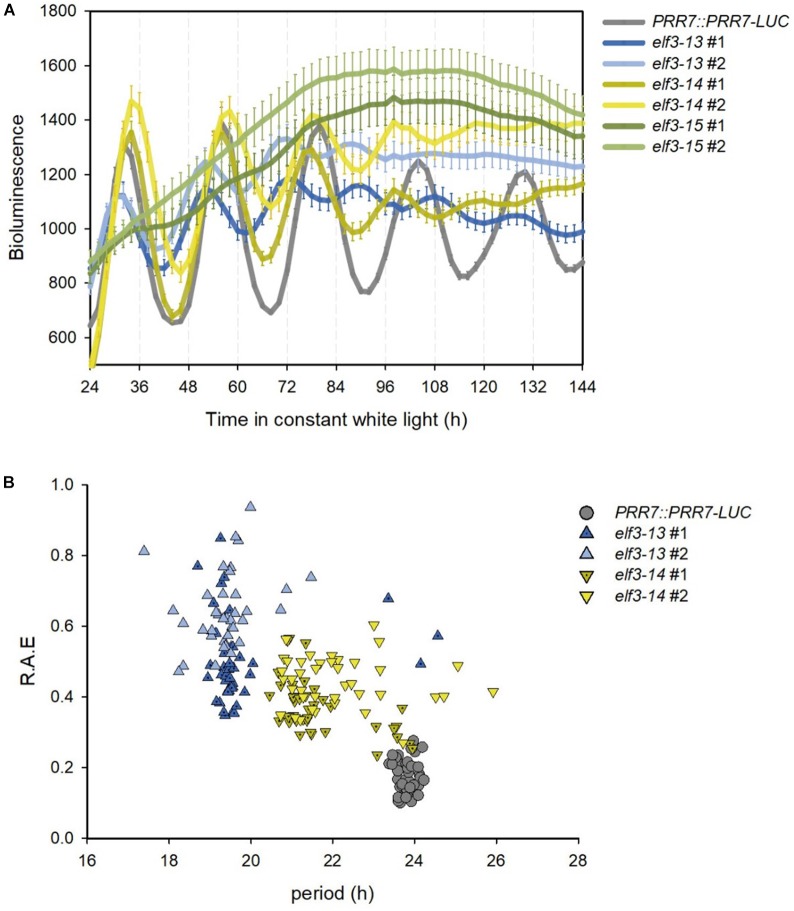 FIGURE 4