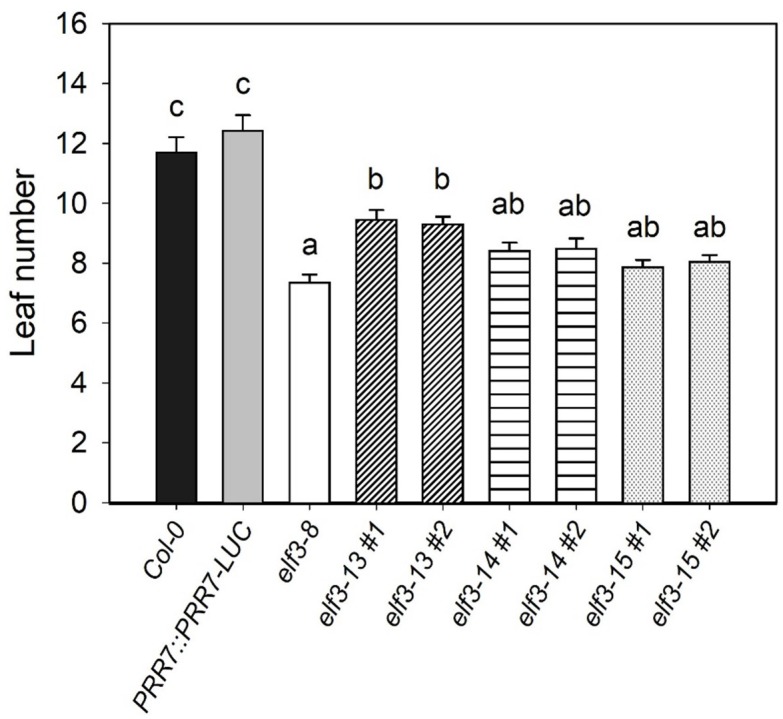 FIGURE 5