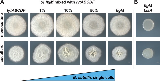 FIG 6