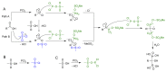 Scheme 3