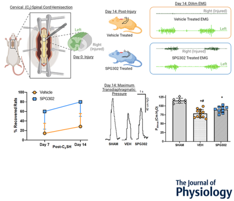 graphic file with name nihms-1921838-f0001.jpg