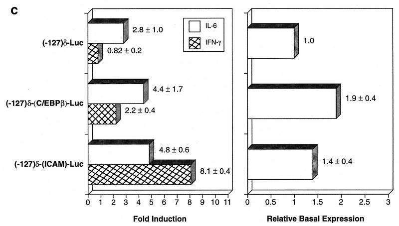 FIG. 10