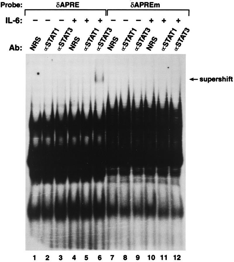 FIG. 6