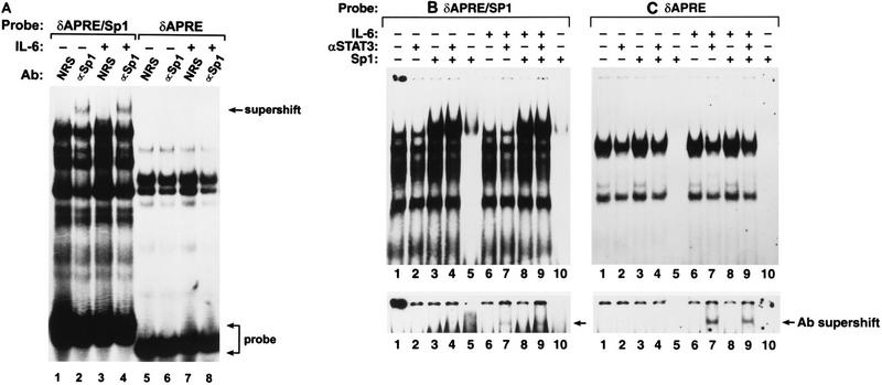 FIG. 7